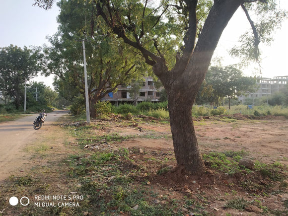 258 sq yards EAST Facing plot available for ready to construct in Nallagandla