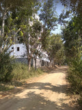 324 sq. yards East Facing Ready to Construct plot available in Nallagandla,