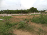 EAST Facing 200 sq yards plot available for sale at AV Nagar