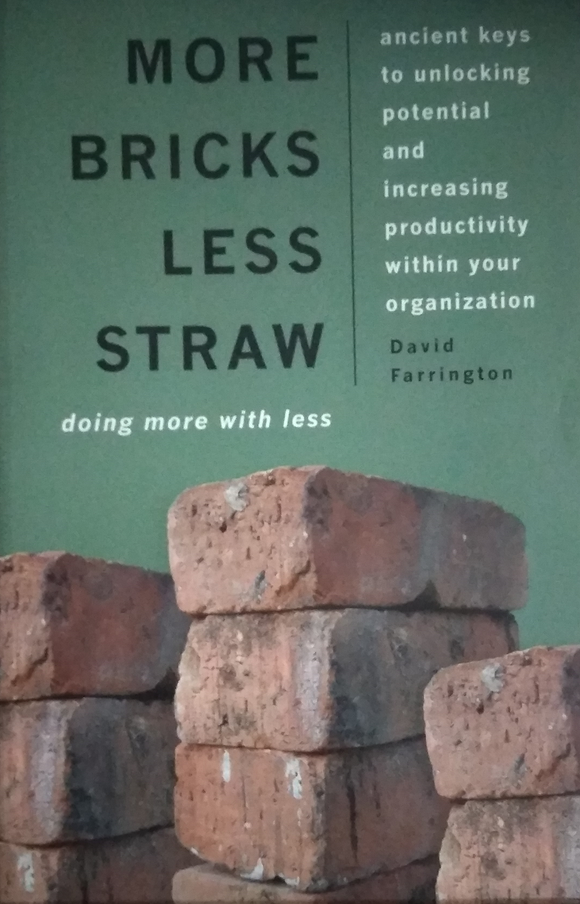 More Bricks Less Straw, a leadership book by David Ferrington
